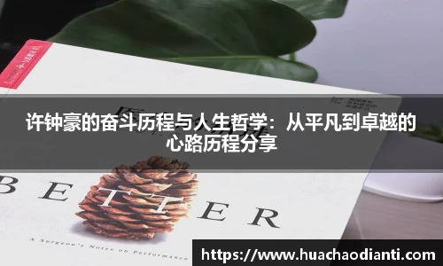球速体育